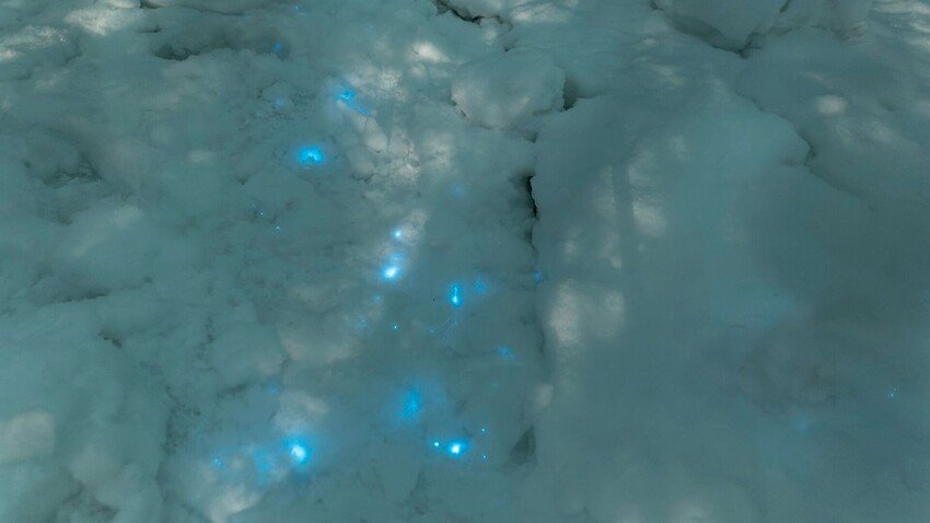 科学家在俄罗斯北极地区发现蓝色发光的雪